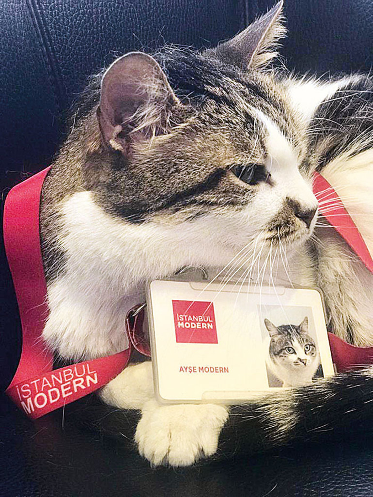 Melek Celâl Boğaz’da yeniden doğdu