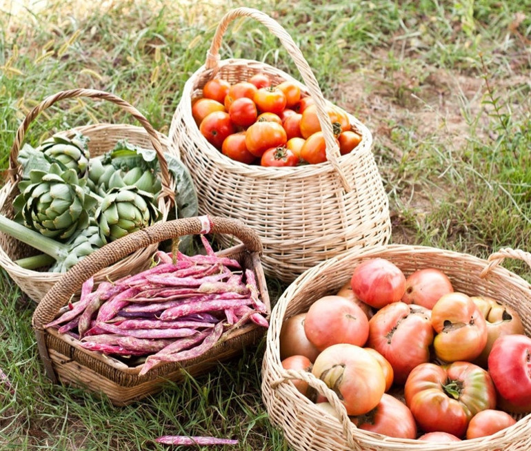 Beykozda 17 dönüm üzerine çiftlik kurmuştu... Ünlü oyuncu yeni hayatını anlattı
