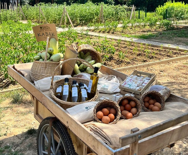 Beykozda 17 dönüm üzerine çiftlik kurmuştu... Ünlü oyuncu yeni hayatını anlattı