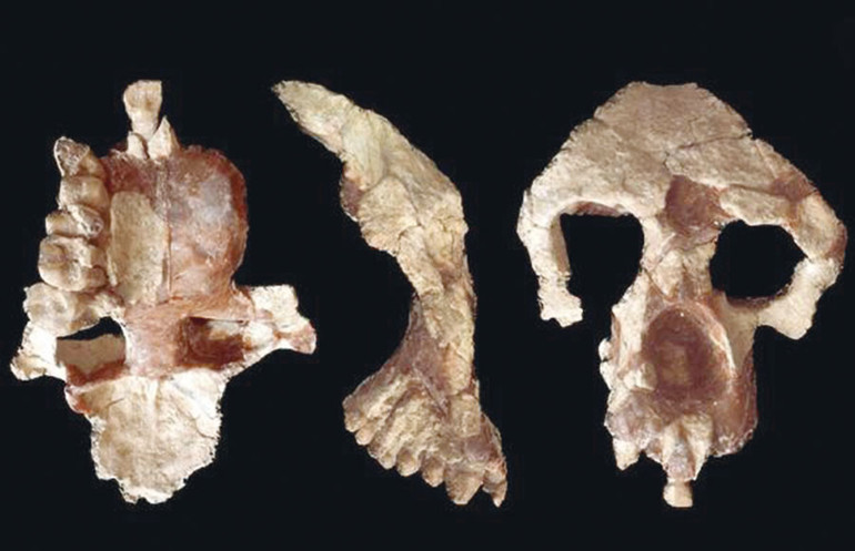 2023’ün en önemli kültür hazineleri