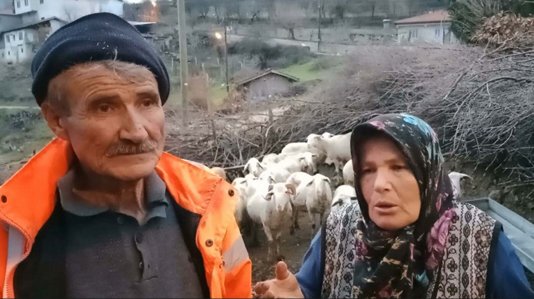 Balıkesirde kamera görüntülerini izleyince dehşete düştüler Komşusu ağıla girip koyunlara işkence yaptı