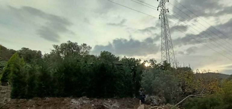 Ağaç dallarıyla kapattı Fark edilince cezadan kurtulamadı