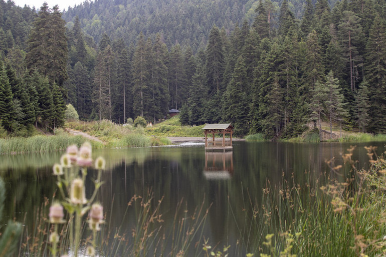 2024 yılının en iyi seyahat rotaları listesinde yer aldı: Karadeniz’de kışın keşfedilmesi gereken adresler | 8 ŞEHİR 10 ÖNERİ