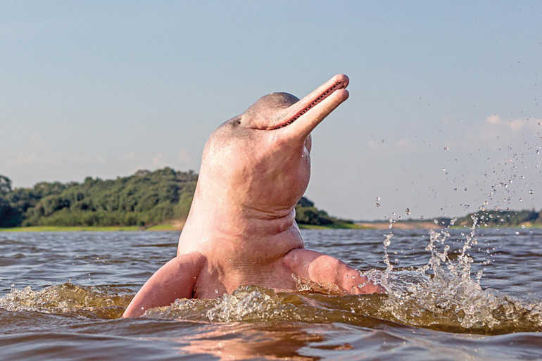 Geçmişin lezzetleri elden ele çoğalıyor