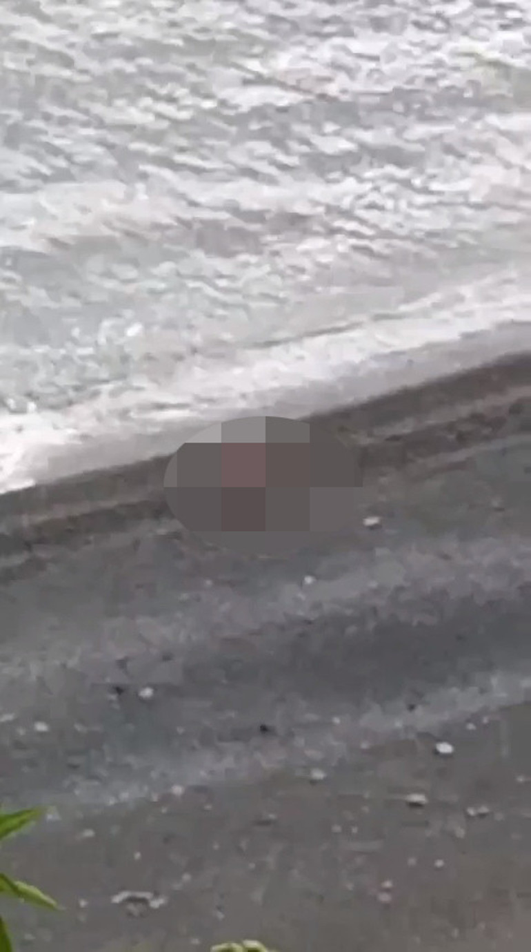 Sosyal medyada tepki yağmıştı Plajdaki cinsel ilişki görüntüsüne inceleme