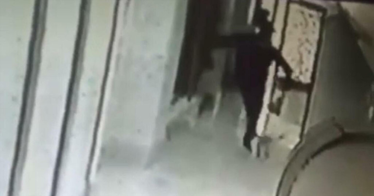 İzmirde vahşet: Sokaktan topladığı 4 kediyi öldürüp, apartmanın bahçesine atmış Valilikten açıklama