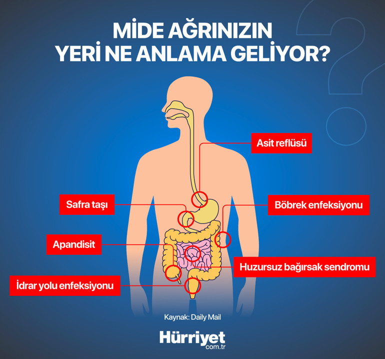 Karın ağrınızın yeri hastalıklar hakkında çok önemli ipuçları veriyor