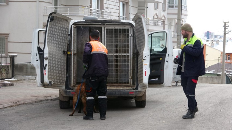 Sokak köpeği anne ve çocuklarına saldırdı: 4 yaralı