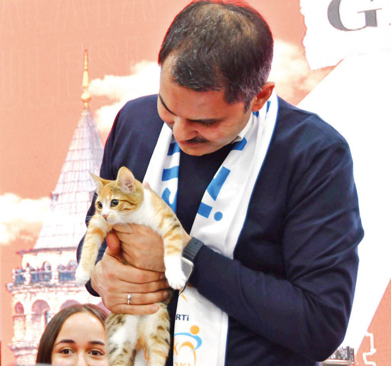 İzmir’in dağlarında çiçekler nasıl açar