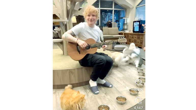 Yeni  trend... Evcil hayvanına miras bırakmak