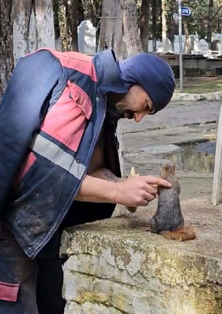 Çanakkalede mezarlık işçisinin sincaplarla dostluğu: Sevginin başaramayacağı hiçbir şey yok