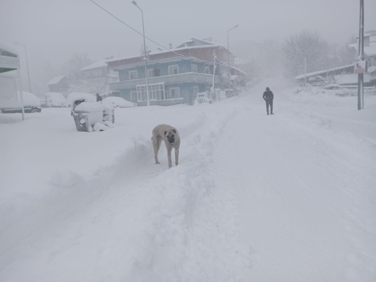 Ardahanda eğitime 1 günlük ara, Posof-Ardahan kara yolu kapandı