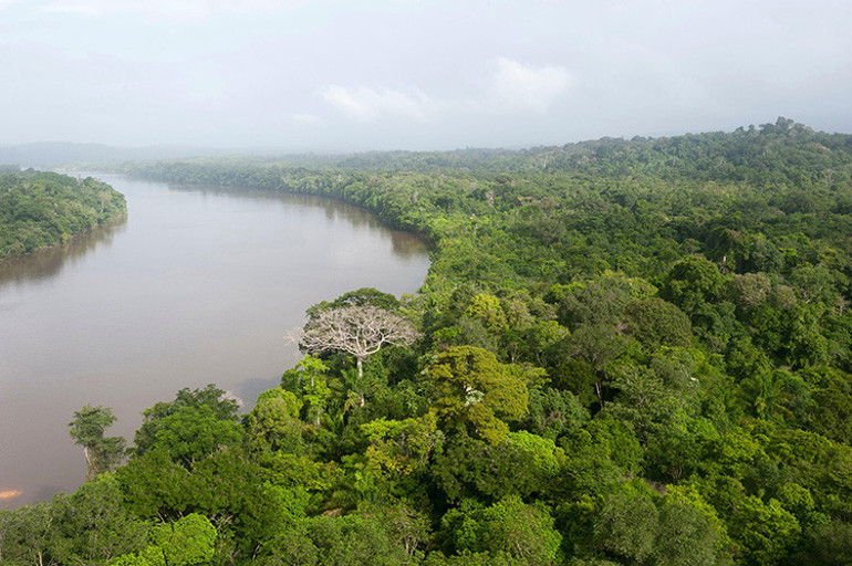 Binlerce yıllık soru iki bilim insanı sayesinde yanıt buldu ama bugün onları neredeyse hiç kimse hatırlamıyor... Halbuki ölümü bile göze almışlardı