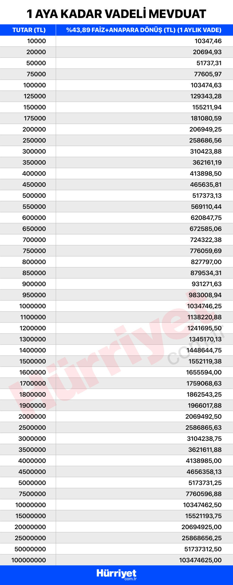 100 bin liraya 1 yılda 53 bin 890 lira faiz... Mevduat faizi cazibesini yitiriyor mu