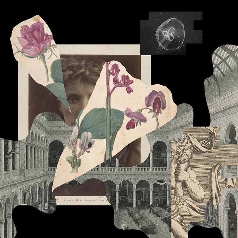 E S Kibele Yarmanın Venüs Saat Yönünde Döner | Venus Rotates Clockwise isimli kişisel sergisi Vision Art Platformda