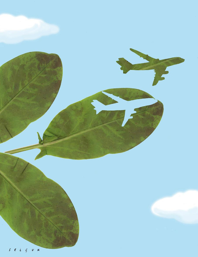 Çevrecilik entelektüel duyarlılığı diye küçümsendi