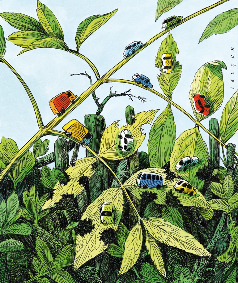 Çevrecilik entelektüel duyarlılığı diye küçümsendi