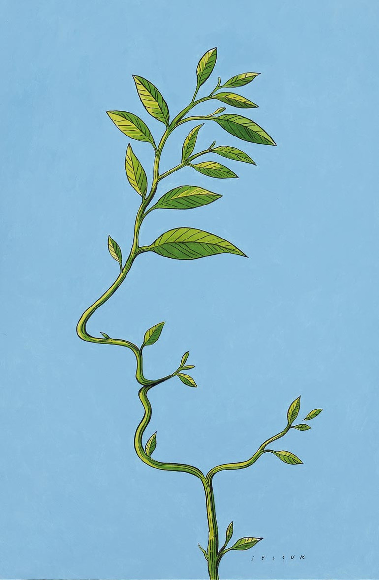 Çevrecilik entelektüel duyarlılığı diye küçümsendi