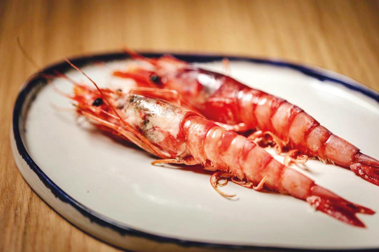 Gastronomi cenneti Madrid