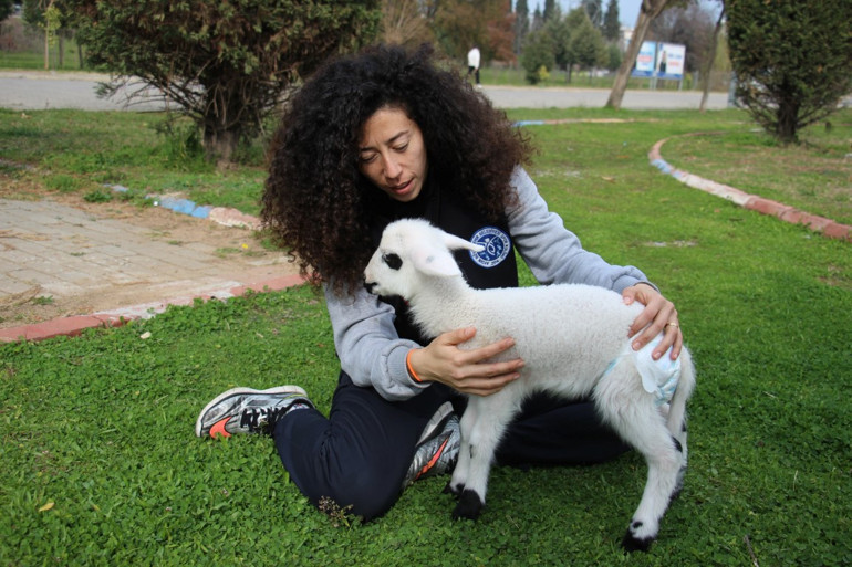 Beden eğitimi öğretmeni ile sahiplendiği kuzudan renkli görüntüler