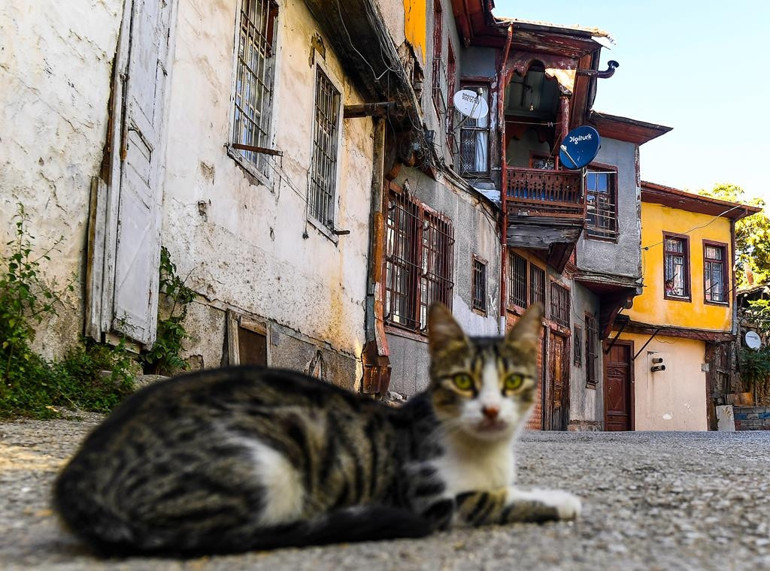 Tarihi mahalle ilgi bekliyor