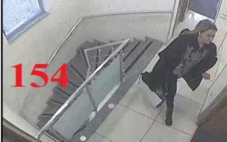 Yeni bilirkişi raporu ortaya çıktı Seçil Erzanın internetteki aramaları dehşete düşürdü