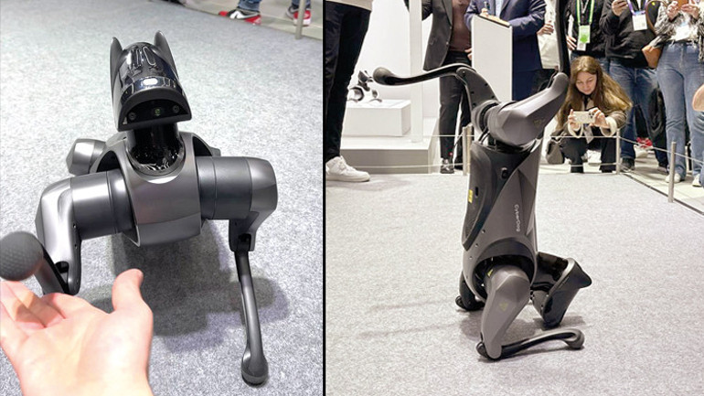 Robotlarla bir gün... Barcelona’daki teknoloji şovunda yapay zekâ destekli robotları inceledik