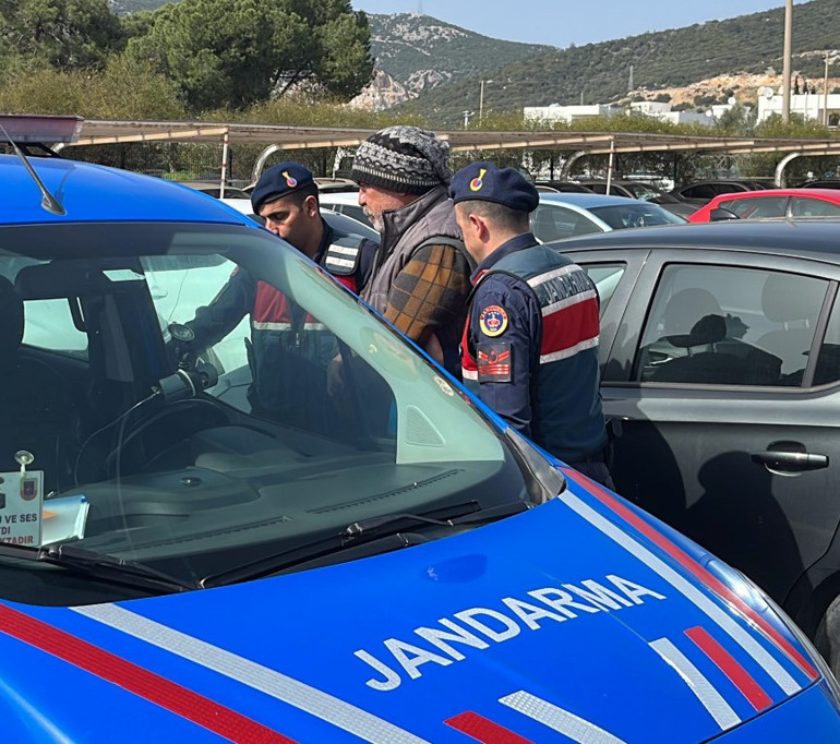 Özel ekip adım adım takip etti Bodrumda 4 köpek ile 3 kediyi zehirleyerek öldüren şüpheli yakalandı