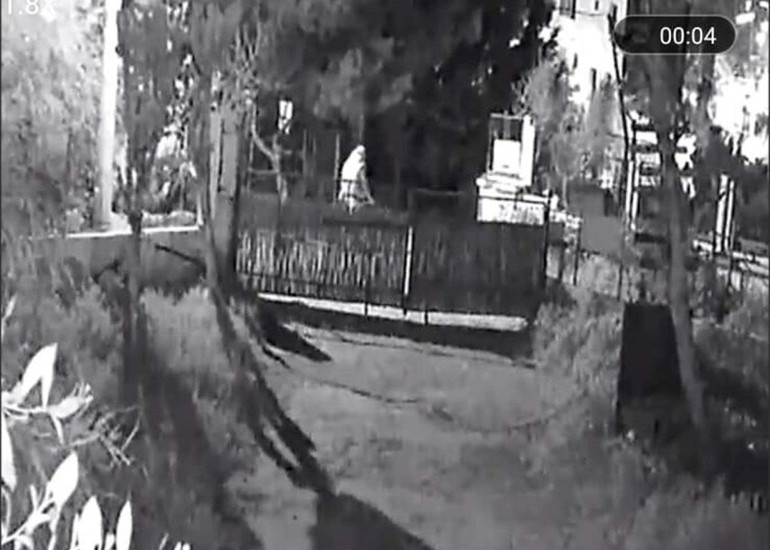 Özel ekip adım adım takip etti Bodrumda 4 köpek ile 3 kediyi zehirleyerek öldüren şüpheli yakalandı