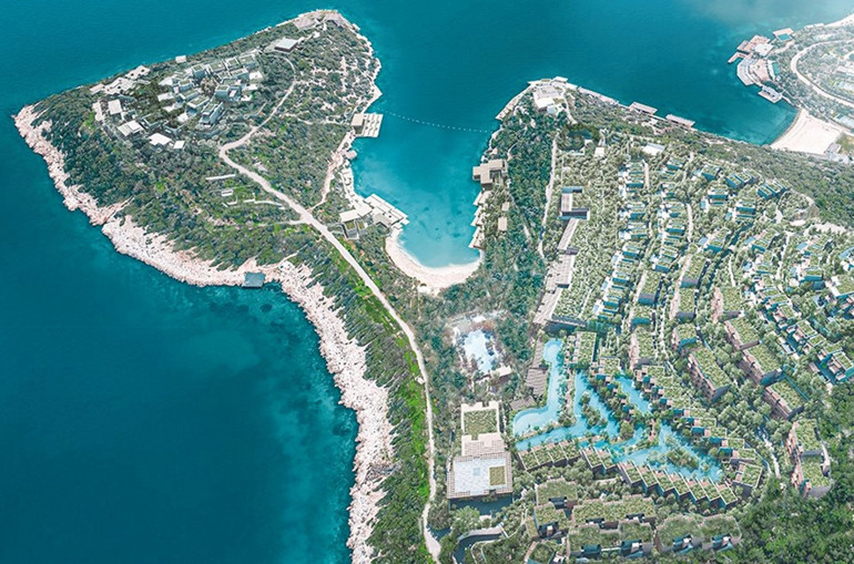 Bodrum mandalinası kırmızı halıda