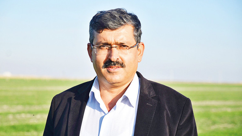 Hububatta heyecanlı bekleyiş... Buğdayda rekolte çiftçiyi sevindirebilir