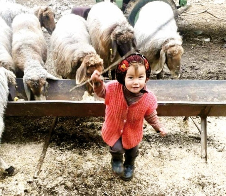 Müslümenin kan donduran ölümünde dede için yeni karar: Cezası 45 yıla çıkarıldı