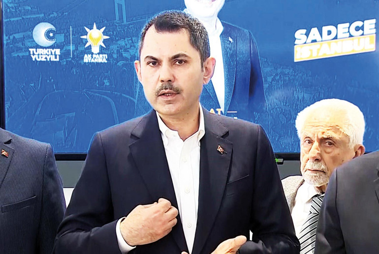 Kediler yalnız değildir