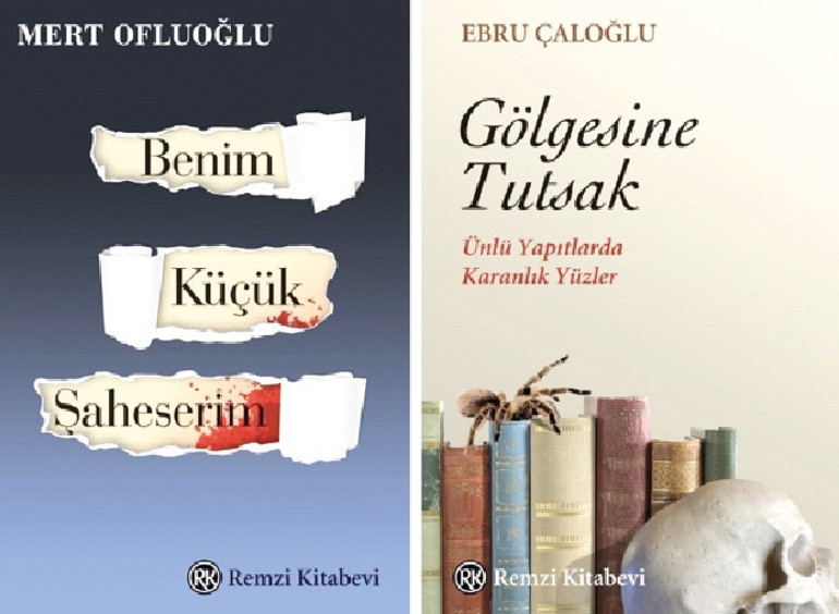 Gündüz Vassaf, Einstein Kumpanyası’nda