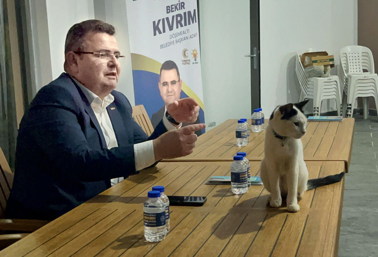 Kedi masaya çıktı, başkan adayının anlattığı proje dikkat çekti