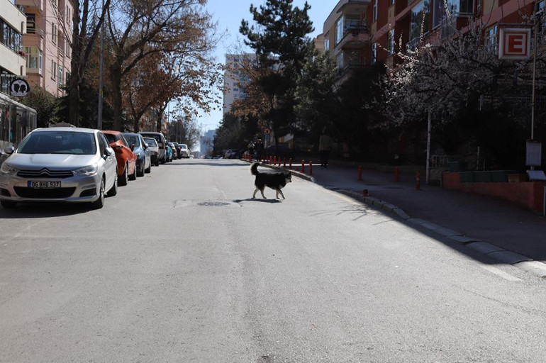 Güzeltepe’den MOBESE talebi