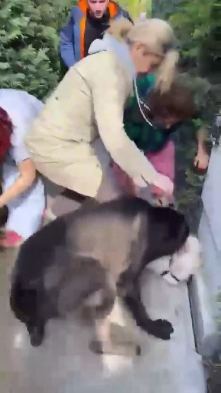 Drago isimli köpeğin öldürdüğü Leo toprağa verildi... Banu Parlaka 4 bin 800 lira ceza