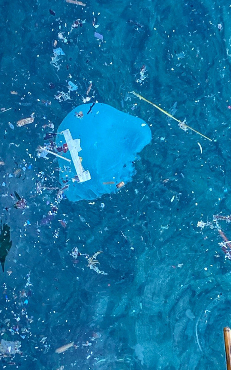 Ağları yırtan denizanaları için uyarı: Akdeniz can çekişiyor