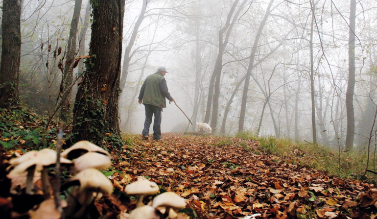 Trüf ülkesi Türkiye