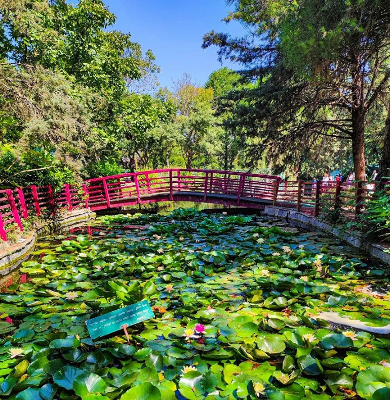 Stresten uzak huzur dolu: Bayram tatilinin yeşil adresleri… İstanbul ve Ankara’ya yakın birbirinden güzel 10 rota