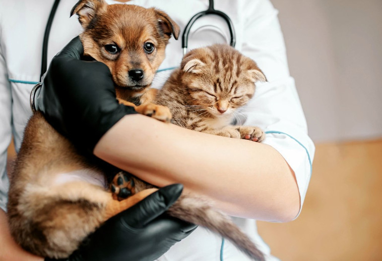 Türkiye’nin en zengin kadını