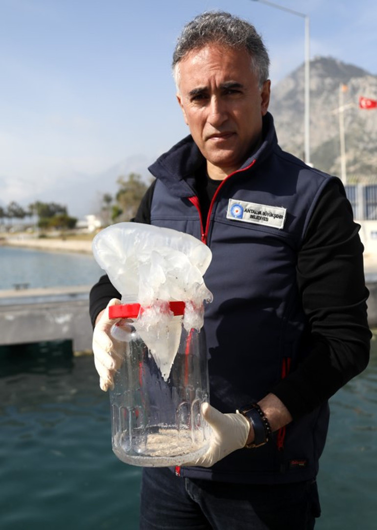 Antalya sahillerinde korku ve paniğe neden olmuştu... Denizanası ve sarı birikinti incelendi