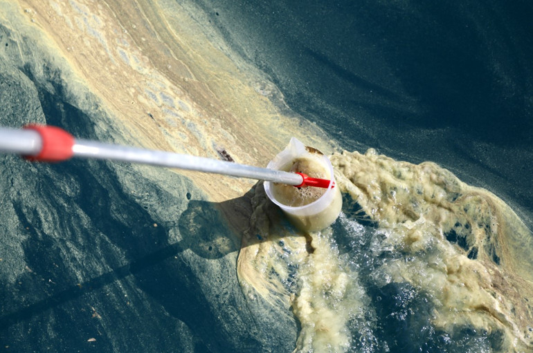 Antalya sahillerinde korku ve paniğe neden olmuştu... Denizanası ve sarı birikinti incelendi