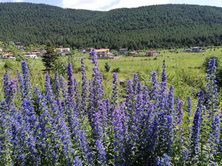 Ankara’da kalanlara sakin bir gezi rotası