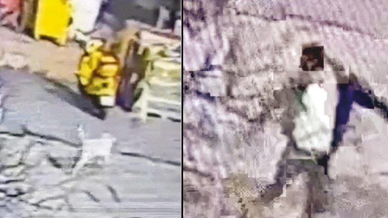 ‘Pitbull’la dehşet saçan büfeci serbest kaldı