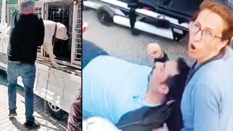 ‘Pitbull’la dehşet saçan büfeci serbest kaldı