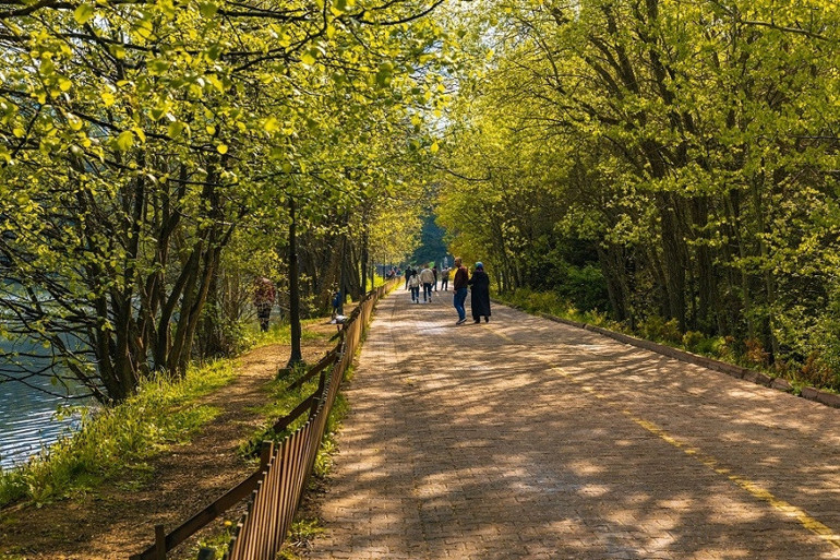 Piknik yapılacak en güzel alanlar… İstanbul ve Ankara’ya yakın 10 adres