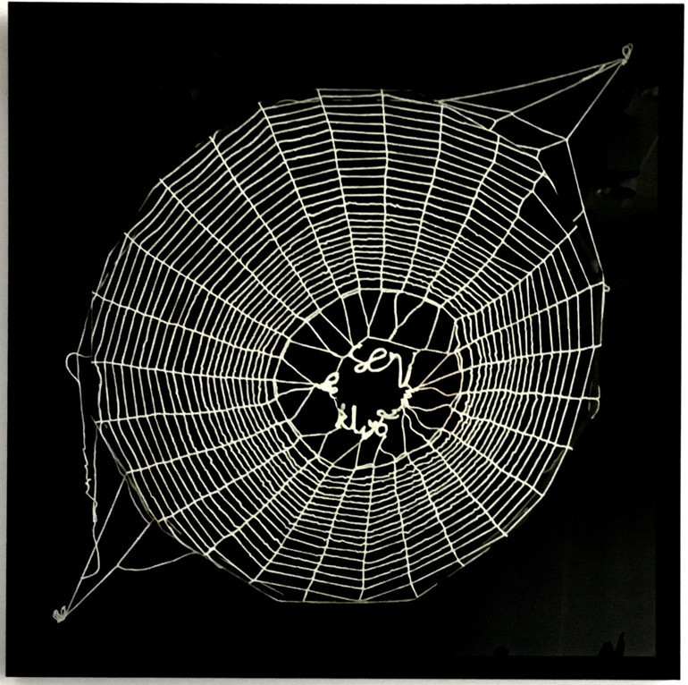 Konser turu mu yoksa bisiklet turu mu