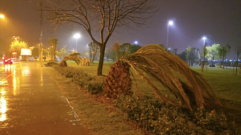 Meteorolojiden yeni hava durumu raporu... Kuvvetli yağış ve fırtına etkili oluyor: Ağaçlar devrildi, çatı uçtu