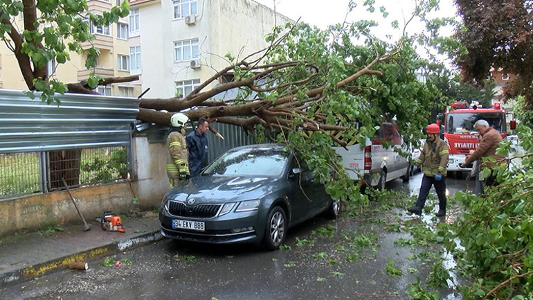 Meteorolojiden yeni hava durumu raporu... Kuvvetli yağış ve fırtına etkili oluyor: Ağaçlar devrildi, çatı uçtu